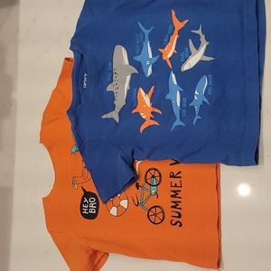 Summer vibes and shark  t shirt set